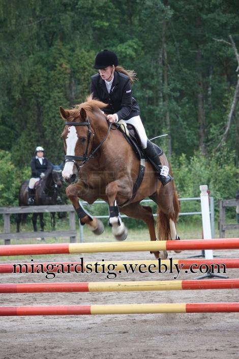 Profilbild