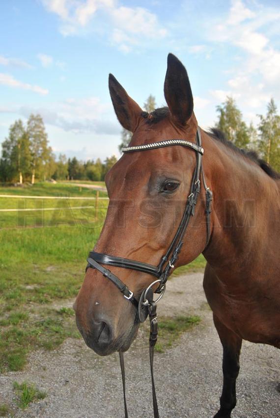 Profilbild