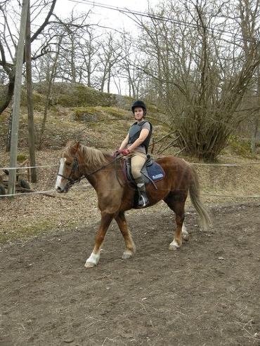 Profilbild