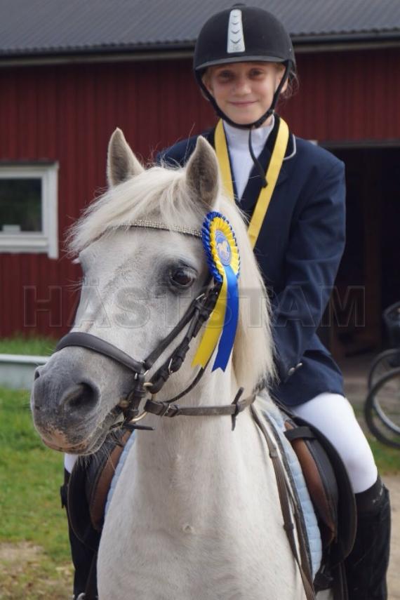 Profilbild