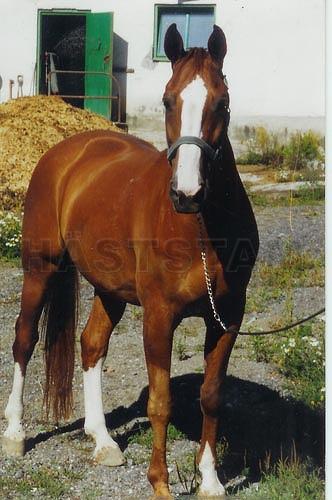 Profilbild
