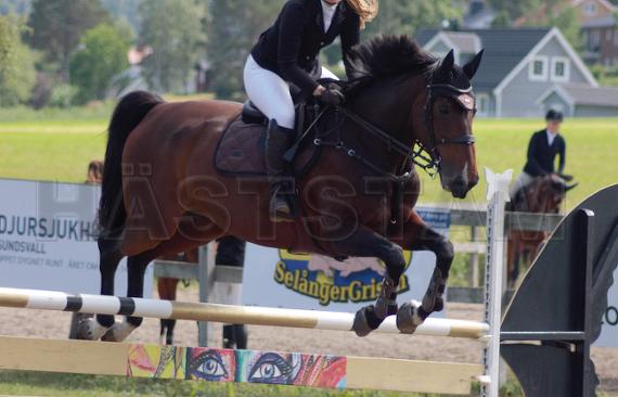 Profilbild