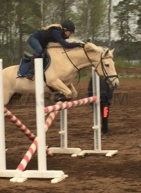 Profilbild