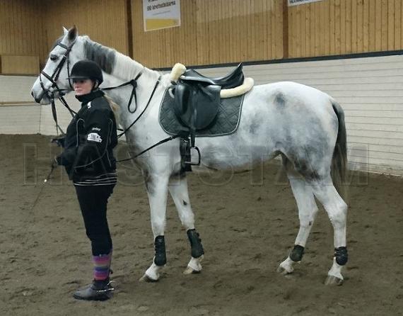 Profilbild