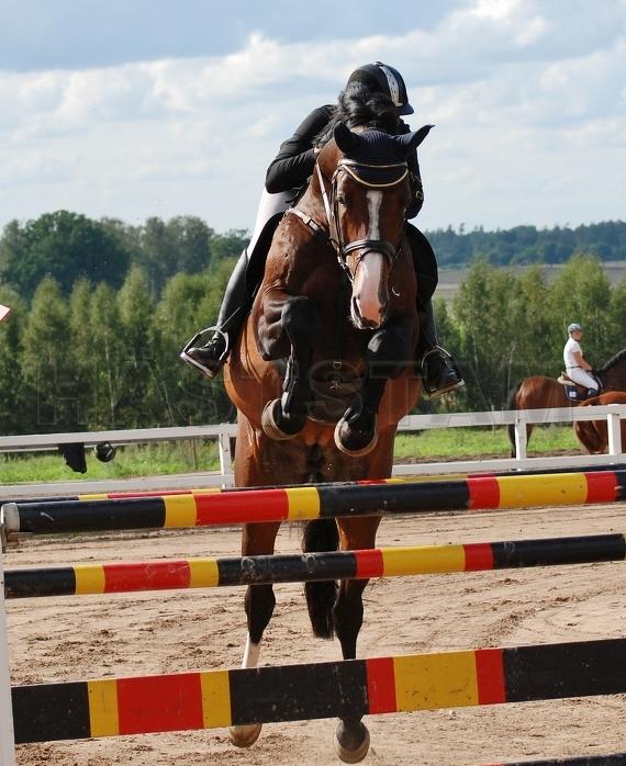 Profilbild