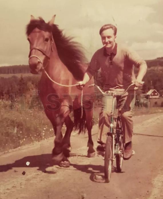 Profilbild