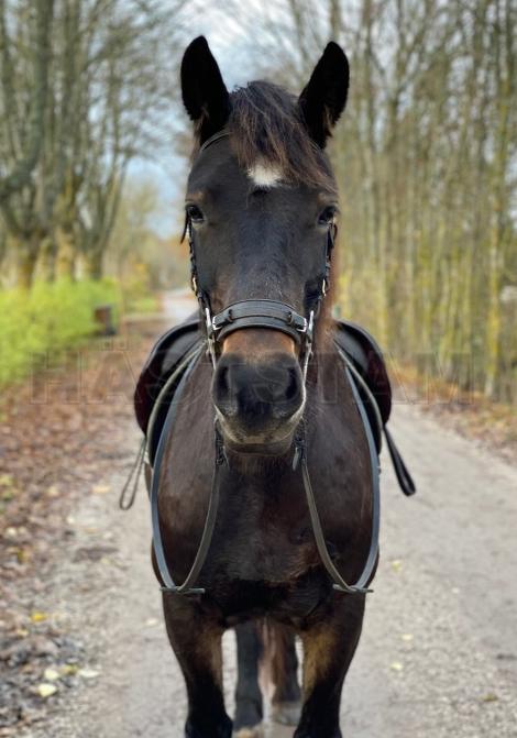 Profilbild