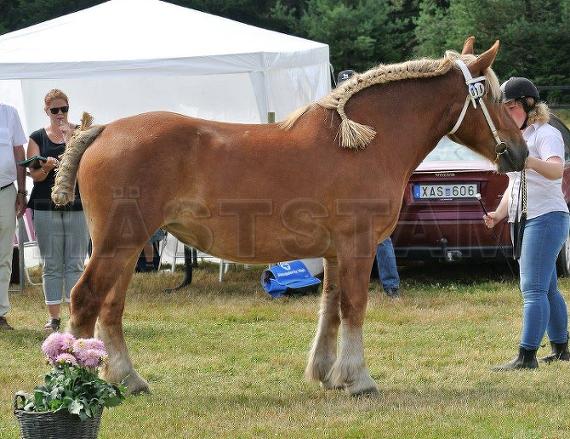 Profilbild