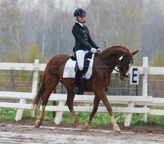 Profilbild