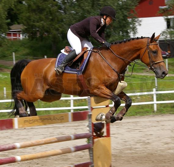 Profilbild