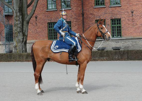 Profilbild