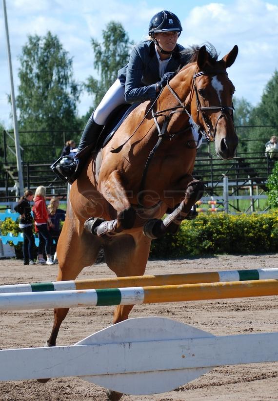 Profilbild