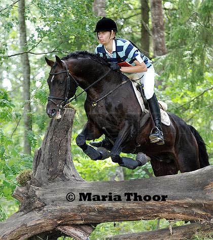 Profilbild