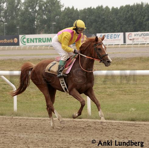 Profilbild