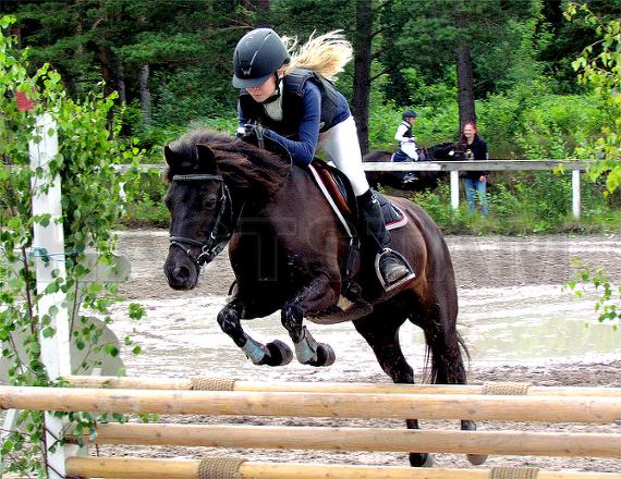 Profilbild