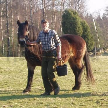 Profilbild