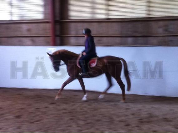 Profilbild