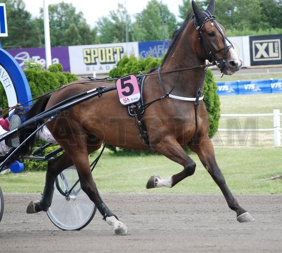 Profilbild