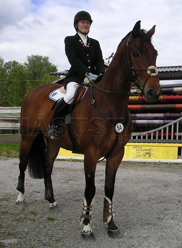 Profilbild