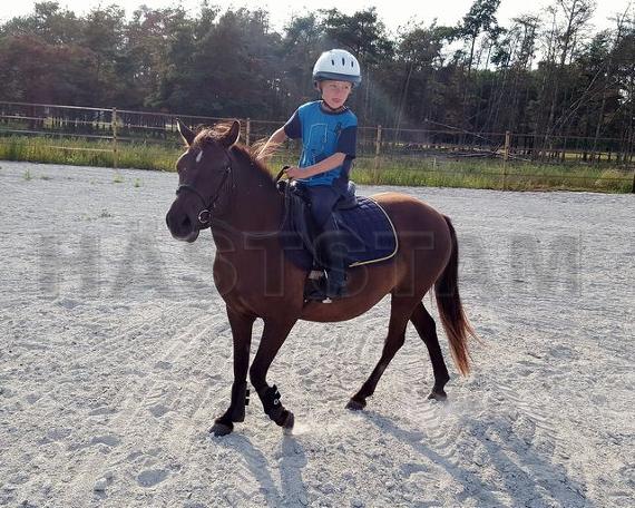 Profilbild