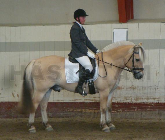 Profilbild