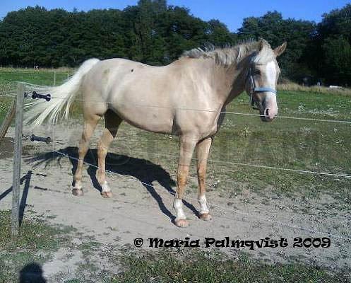 Profilbild