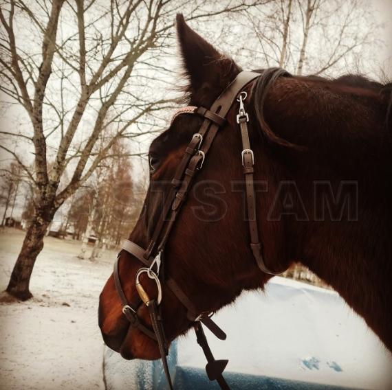 Profilbild