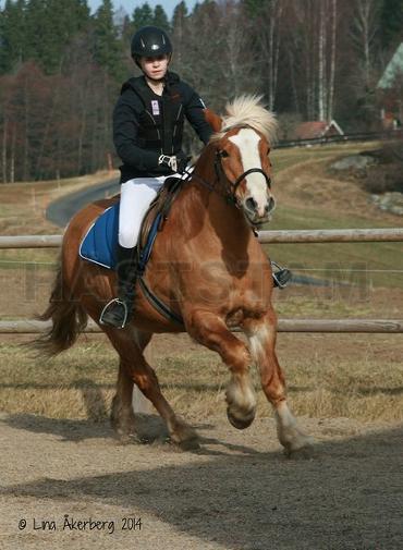 Profilbild