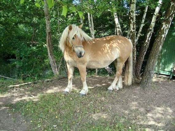 Profilbild