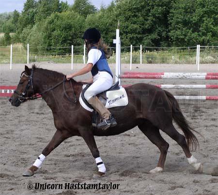 Profilbild