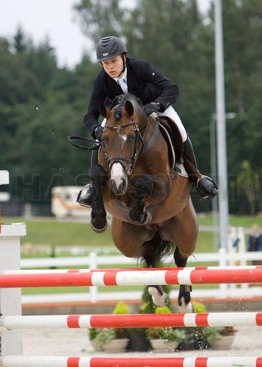 Profilbild