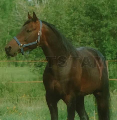 Profilbild