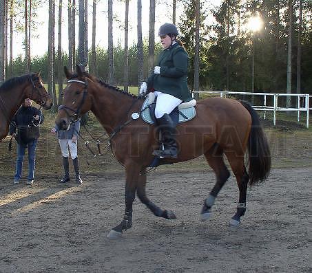 Profilbild