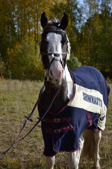 Profilbild