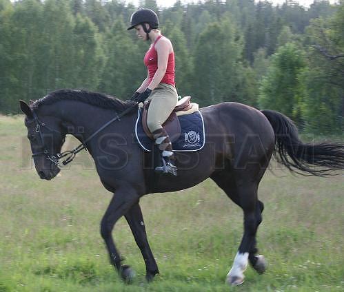 Profilbild