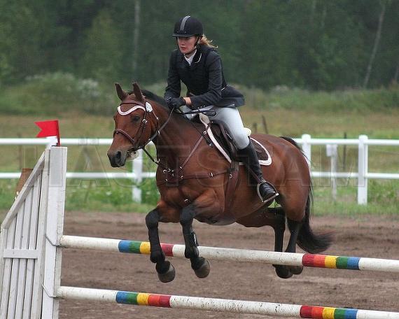 Profilbild