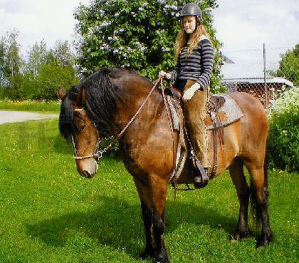 Profilbild