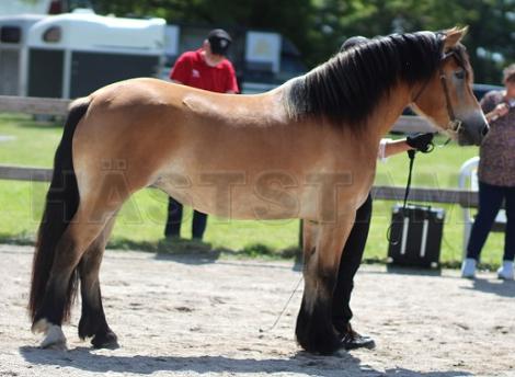 Profilbild