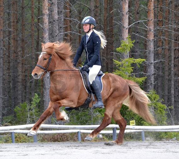 Profilbild