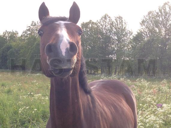 Profilbild