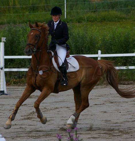Profilbild