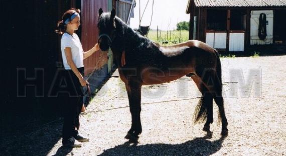 Profilbild