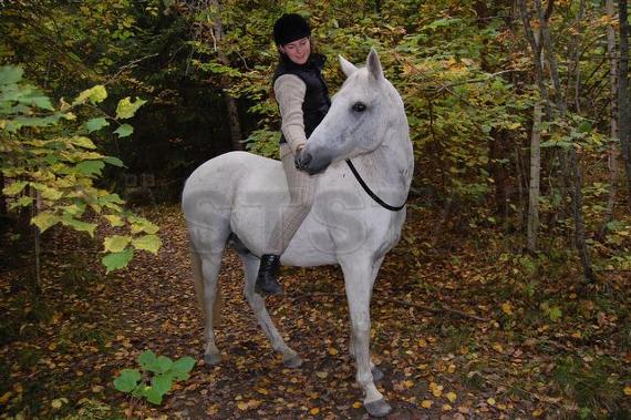 Profilbild