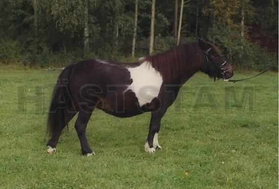 Profilbild