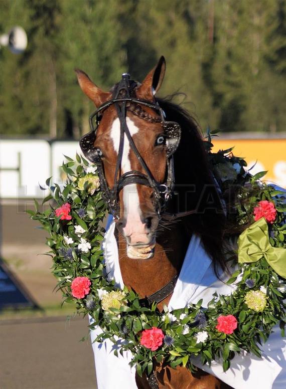 Profilbild
