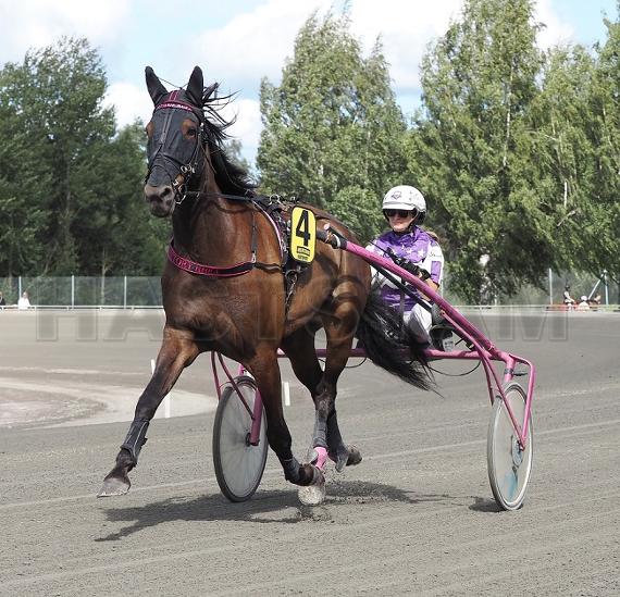 Profilbild