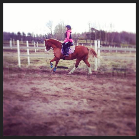 Profilbild