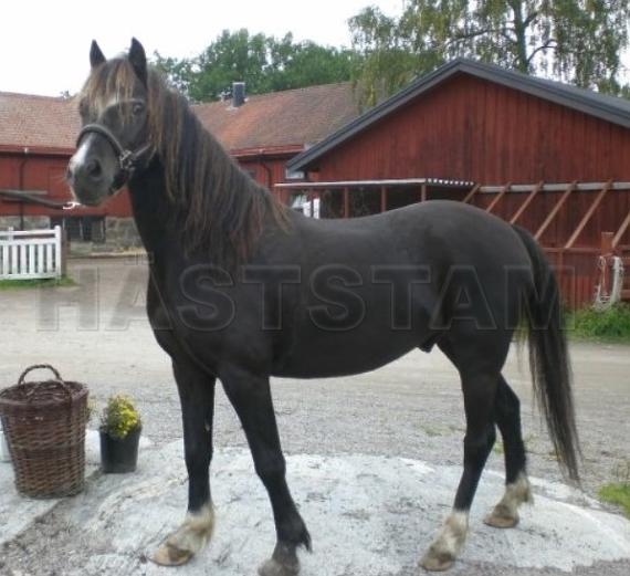 Profilbild
