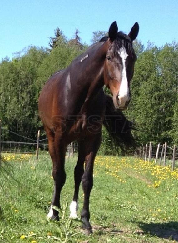 Profilbild