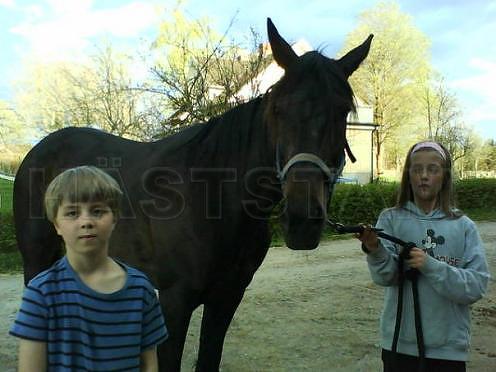 Profilbild